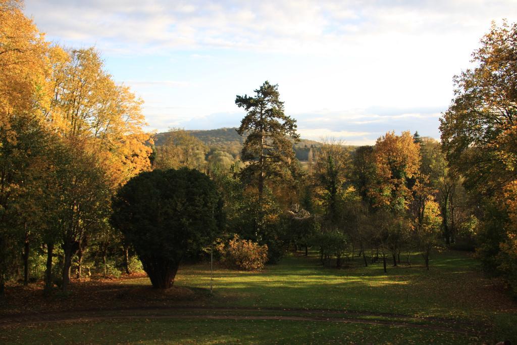 Villa Du Chatelet Choisy-au-Bac Номер фото